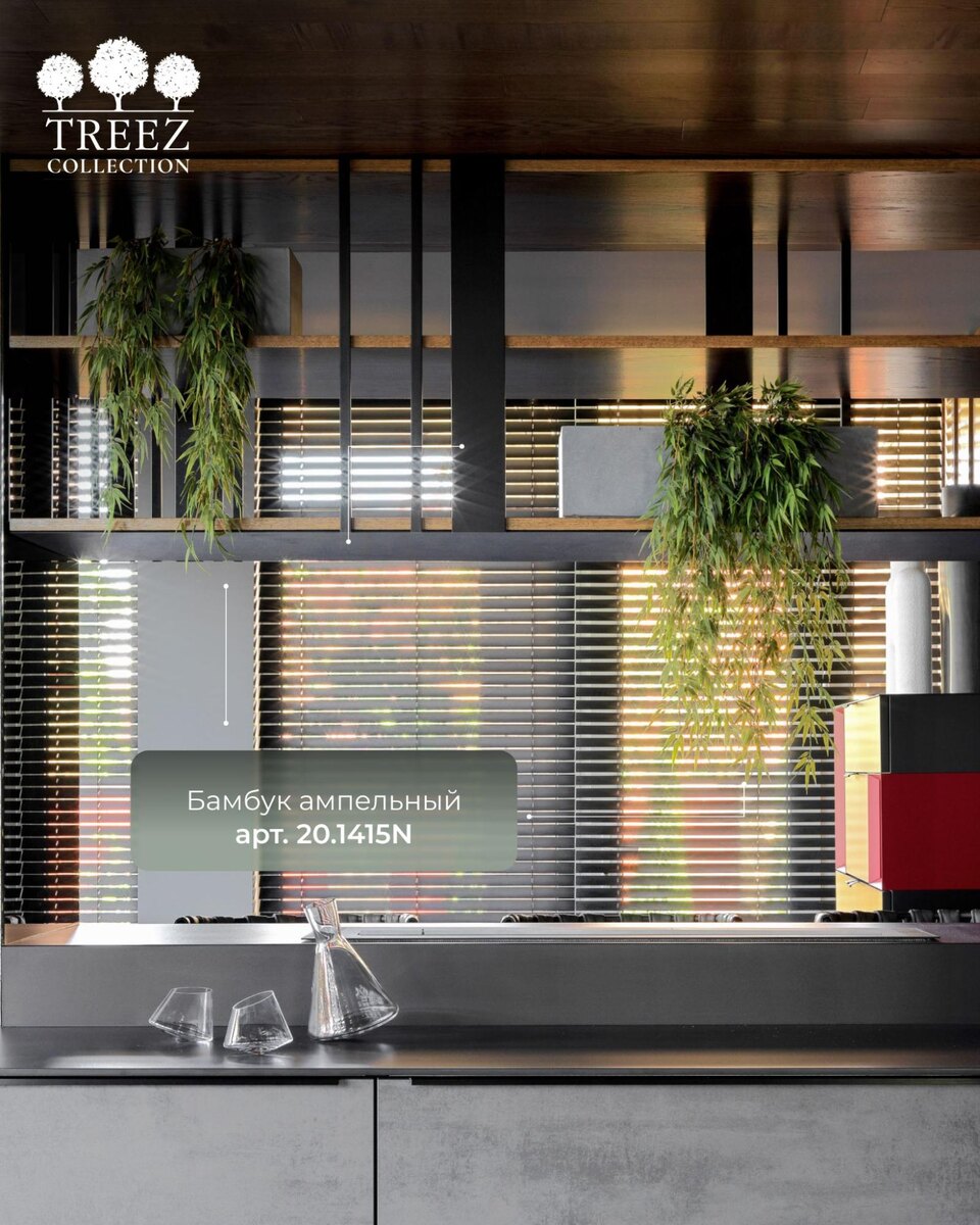 Растения TREEZ Collection