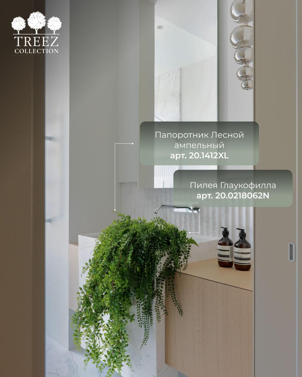 Растения TREEZ Collection