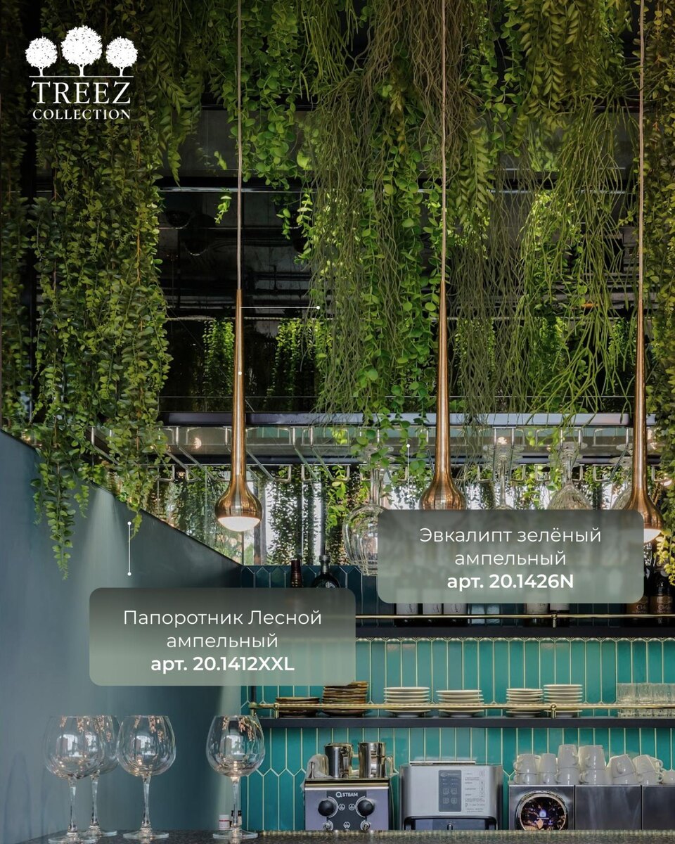 Растения TREEZ Collection