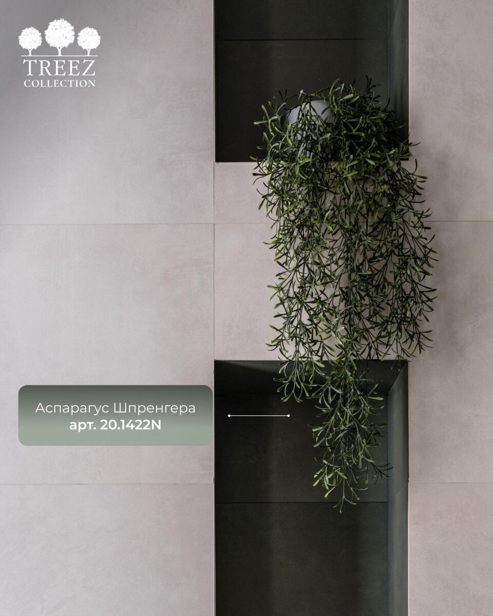 Растения TREEZ Collection