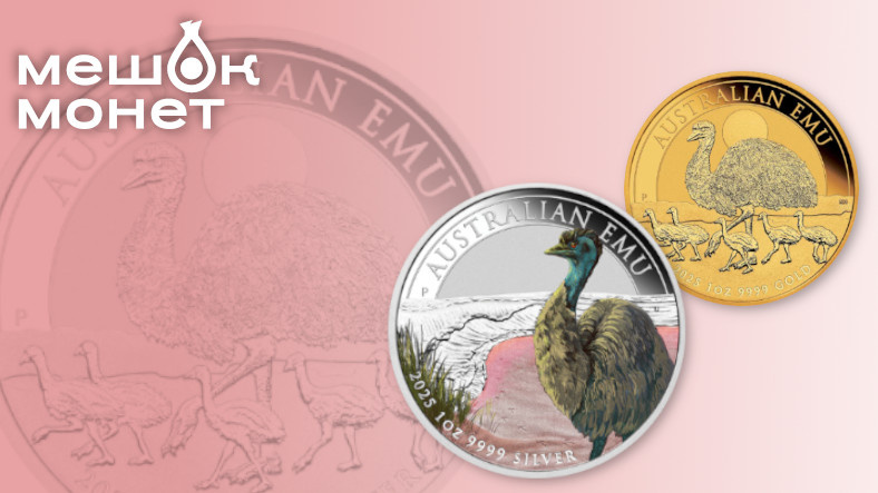    Обложка статьи