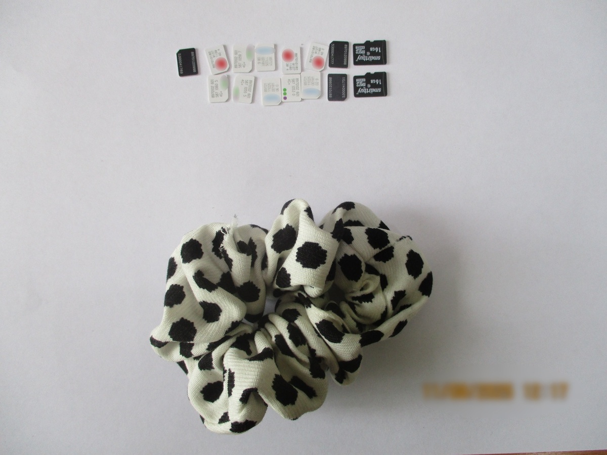 Обхитрить сотрудников отдела безопасности не удалось