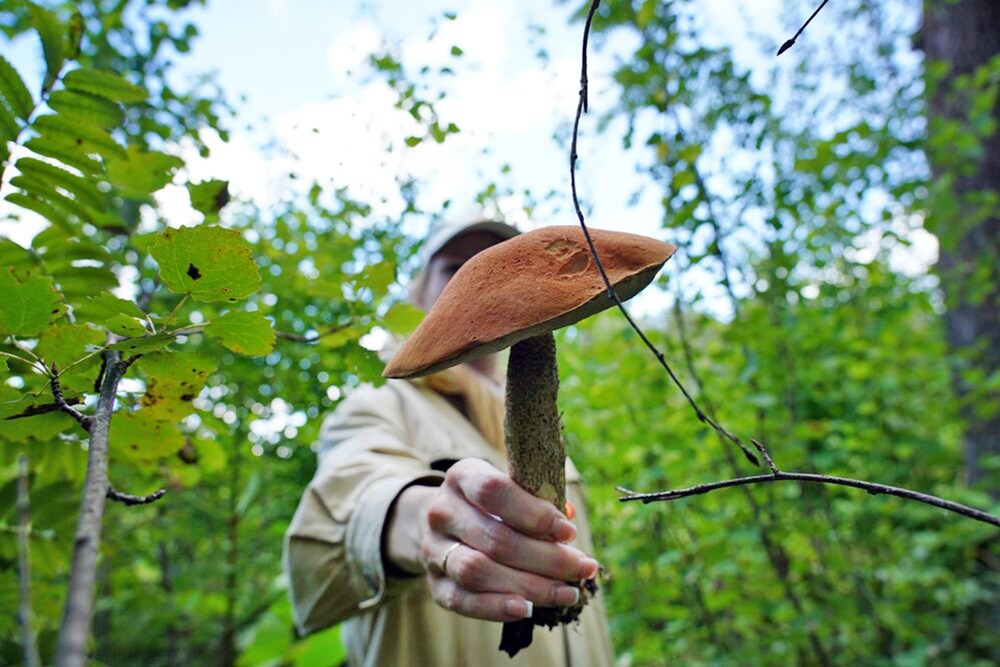    ©Агентство городских новостей "Москва"