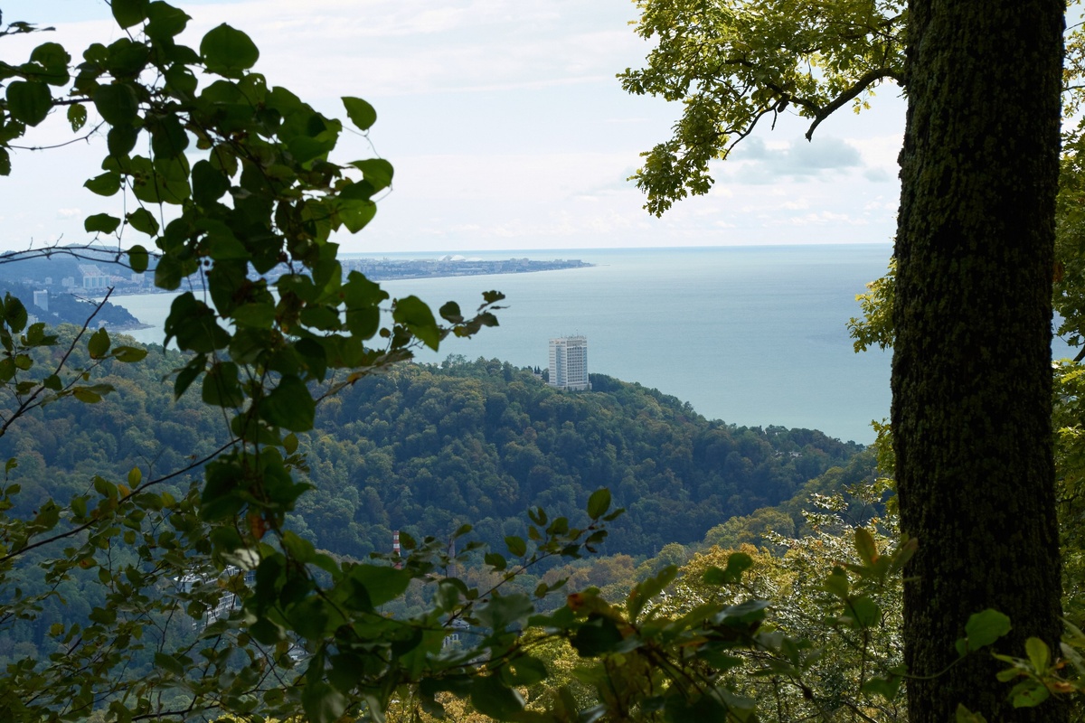    Фото: Сочи24 (Лидия Виленская)