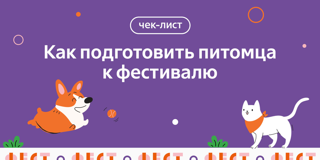 Как подготовить питомца к фестивалю: чек-лист
