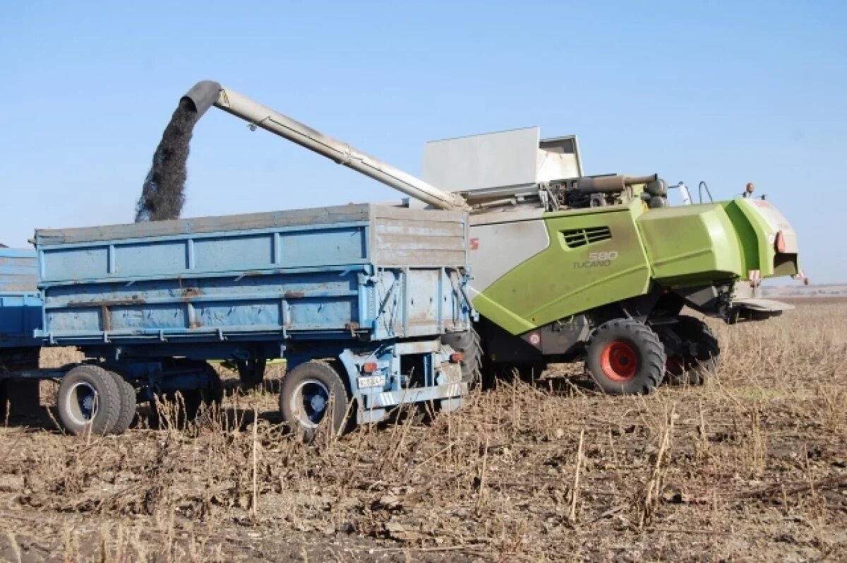    Аграрии Тамбовщины собрали более двух миллионов тонн зерна