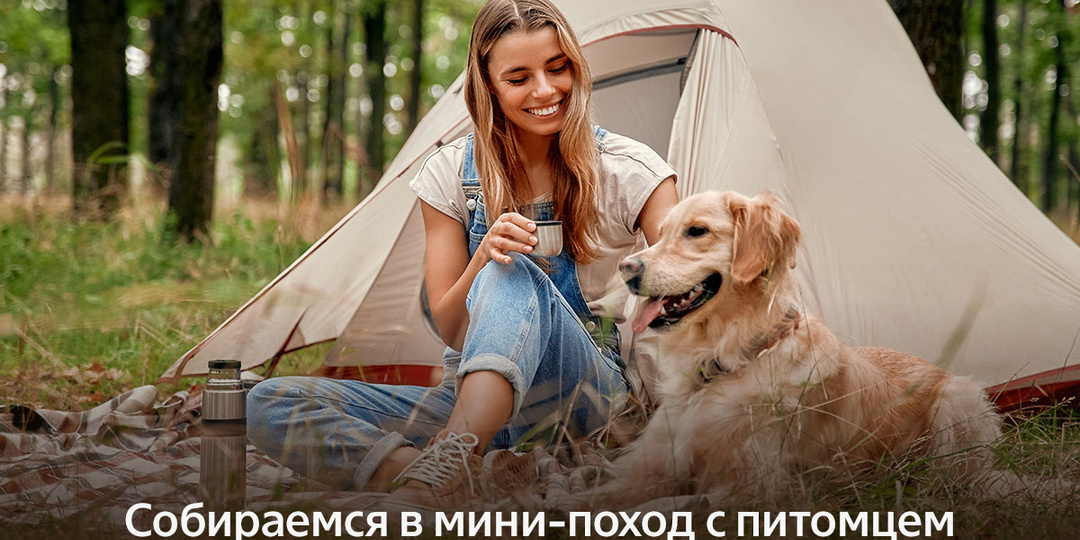 Собираемся в мини-поход с питомцем