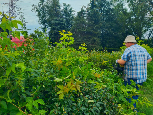 В Твери продолжаются сезонные работы по благоустройству