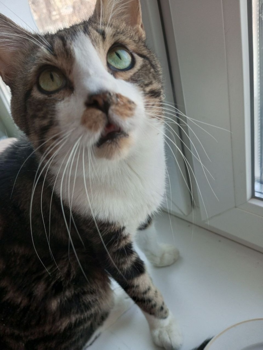 Морс с нами 2 года