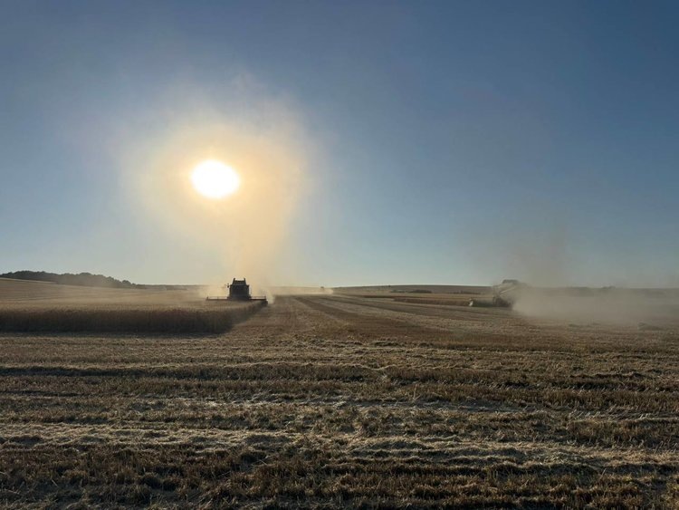    Фото: Правительство Саратовской области