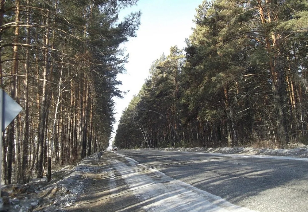 Сосновый бор