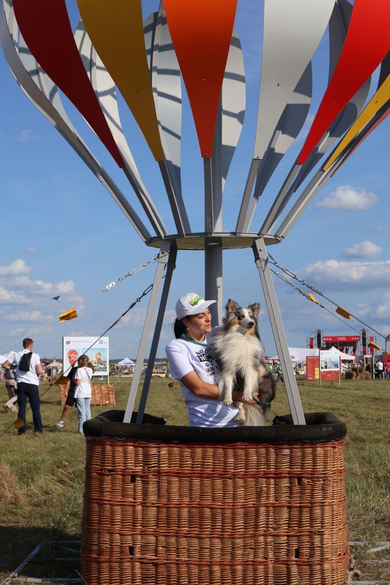 На большом воздушном шаре, мы с тобой проводим это лето 🐾🦴