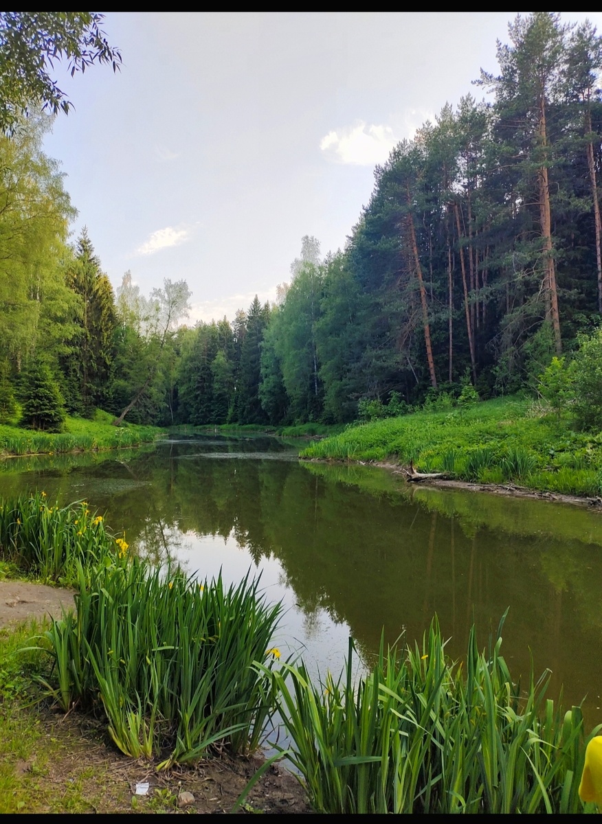 Природа которой мы можем сейчас наслаждаться, всего лишь через улицу