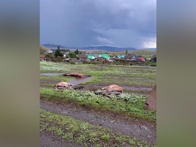    Фото: телеграм-канал "МЧС Башкортостан"