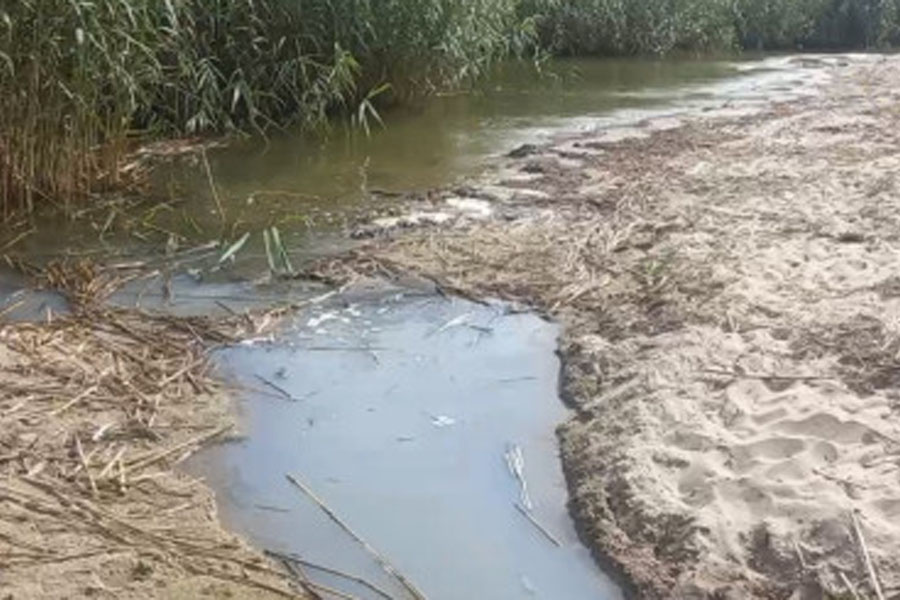 Скриншот видео прокуратуры