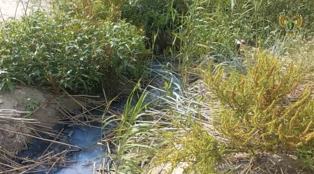 Скриншот видео прокуратуры