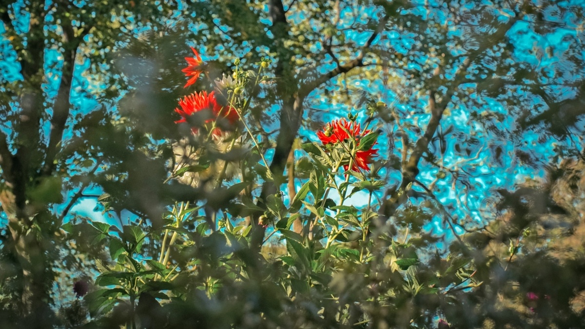 Светлана Мулыкина📷
