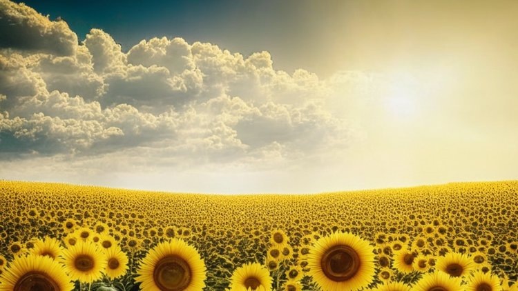    Фото: Медведева Анна, AgroXXI.ru