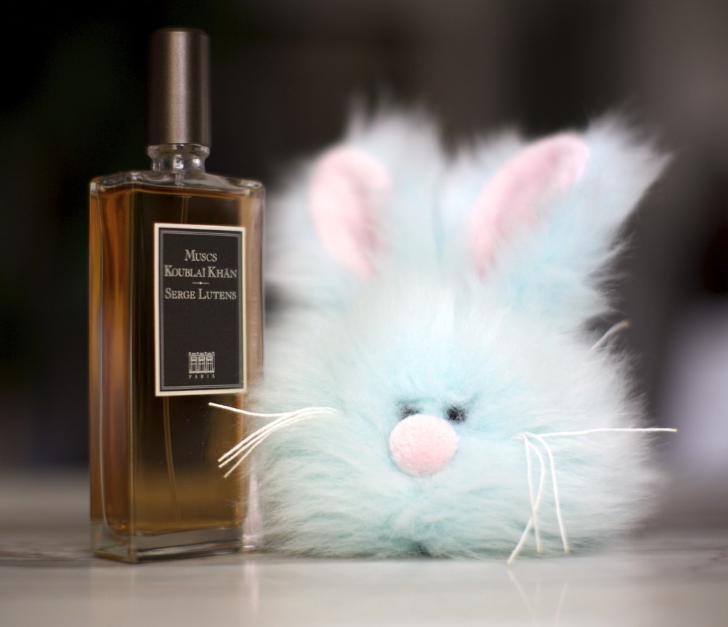 Источник фото: Яндекс Картинки