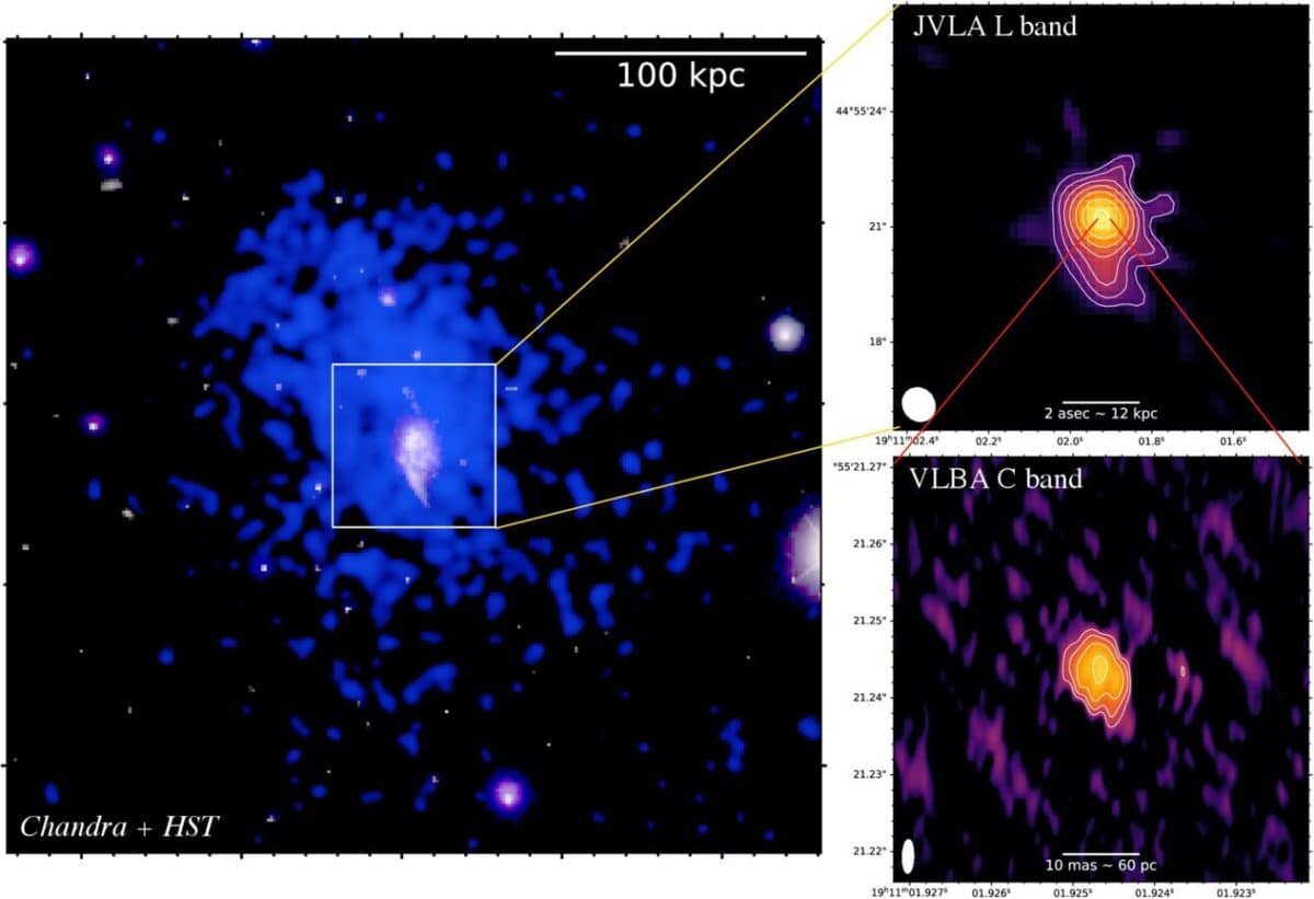    Слева: крупномасштабное комбинированное изображение скопления галактик CHIPS 1911+4455, полученное с помощью обсерватории «Чандра». Справа: снимки, полученные при помощи сети радиотелескопов JVLA и VLBA / © Univ. of Bologna/F.Ubertosi