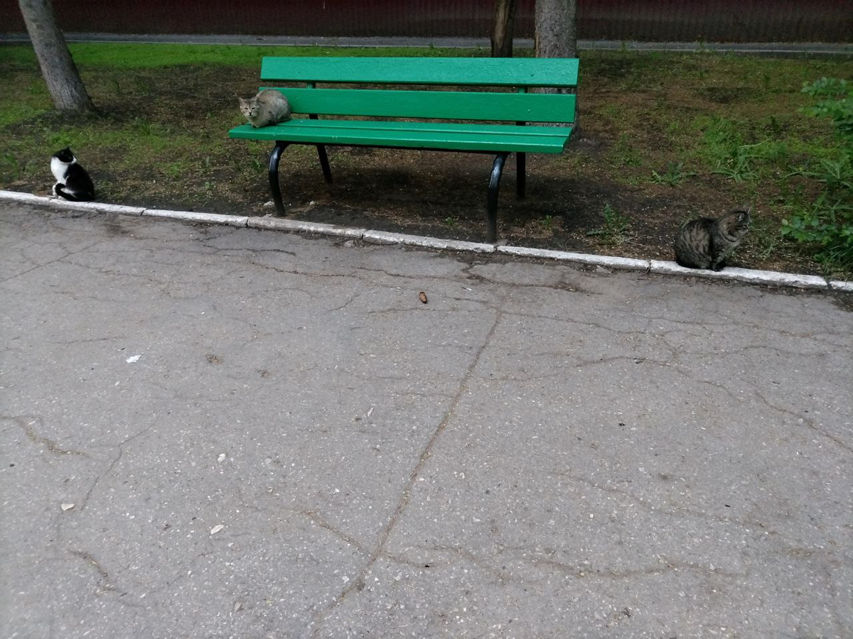 Фото автора.