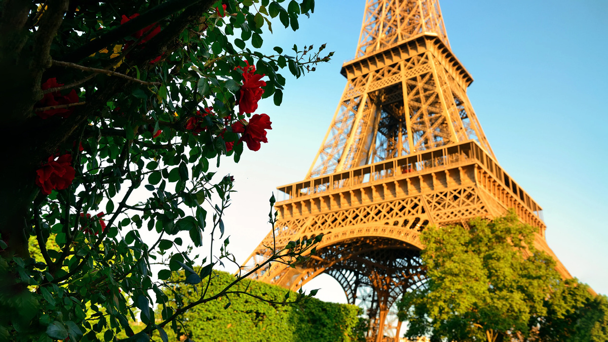 Эйфелева башня. Источник: FreePik