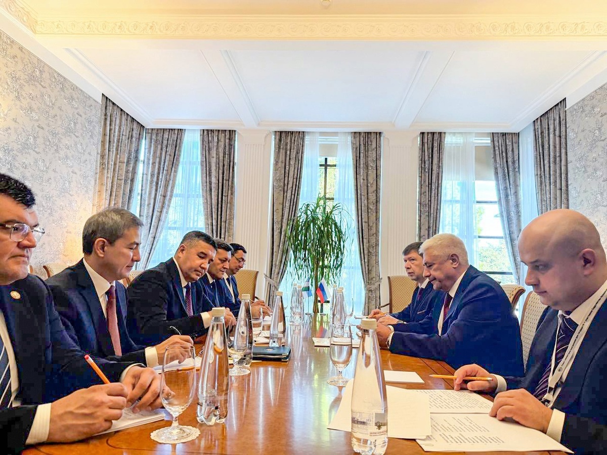 © Ирина Волк