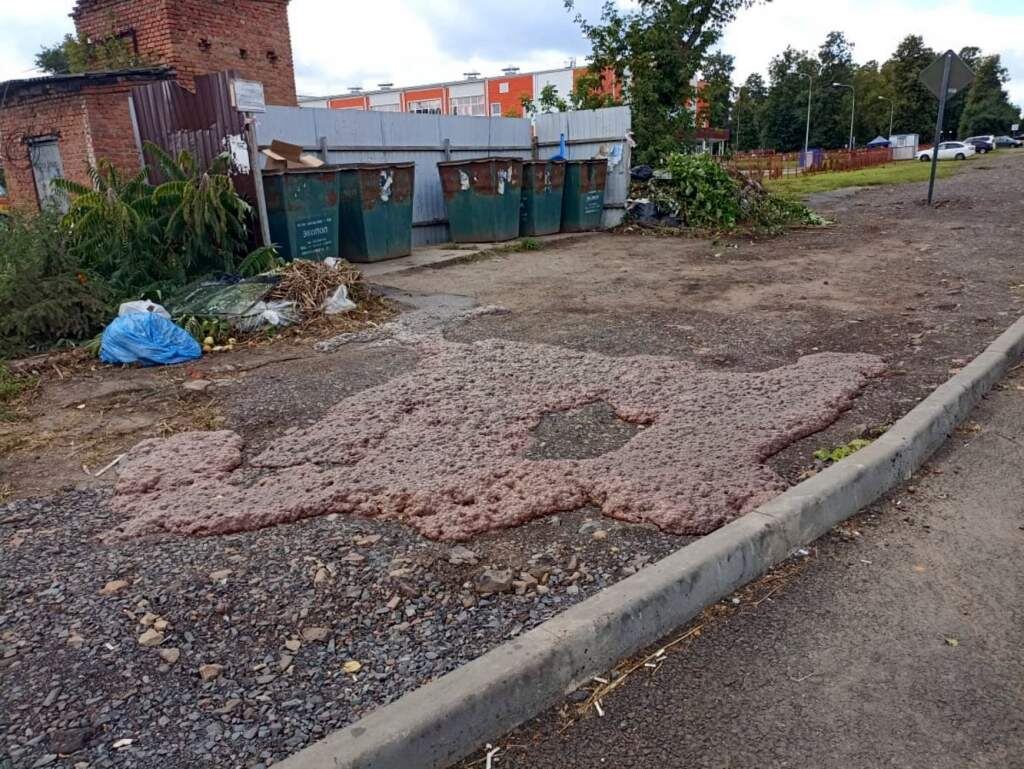    Фото: "Фатежские будни"