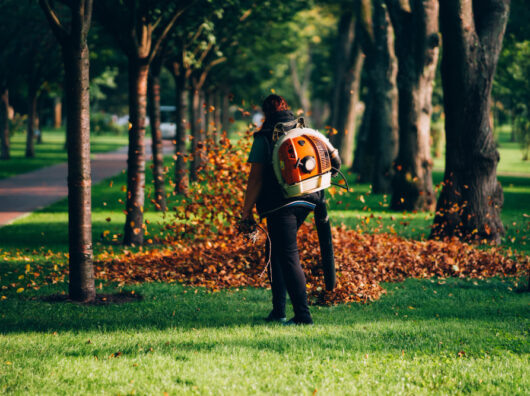    дворник // фото: Изображение от teksomolika на Freepik