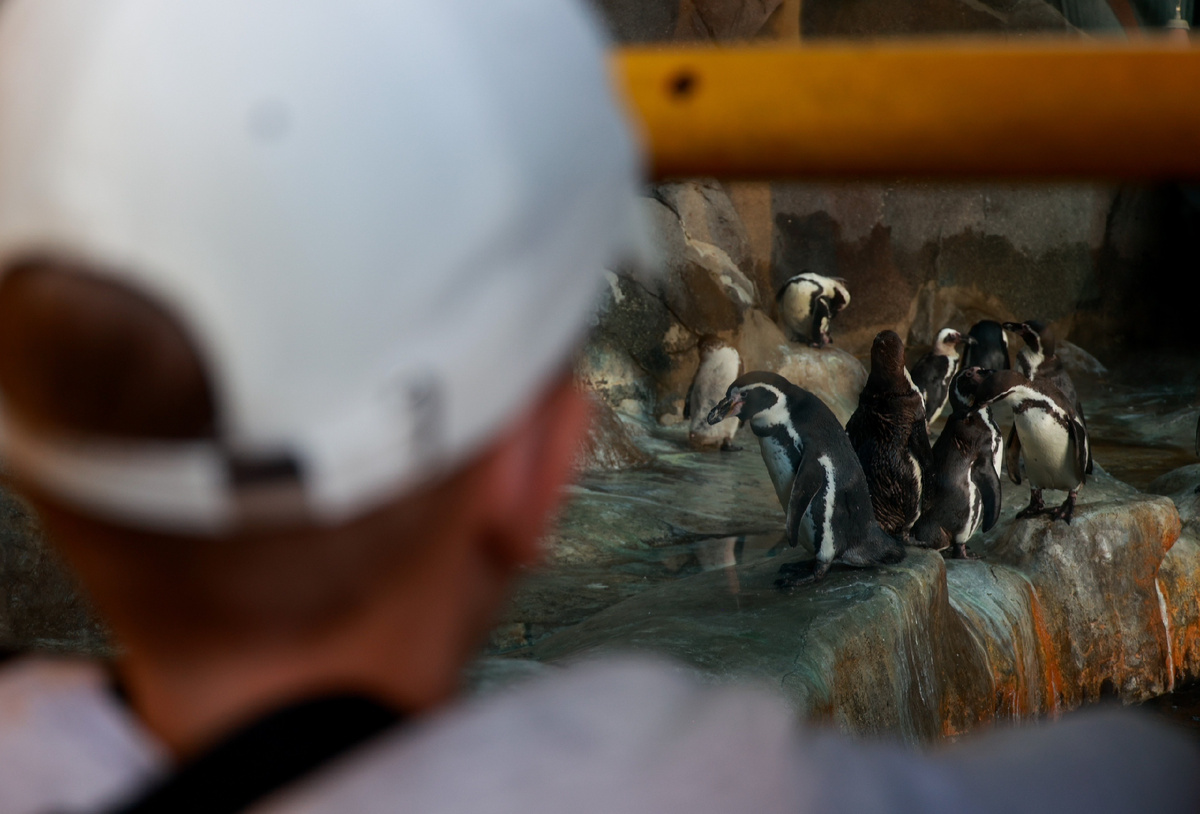 Фото: «Известия»