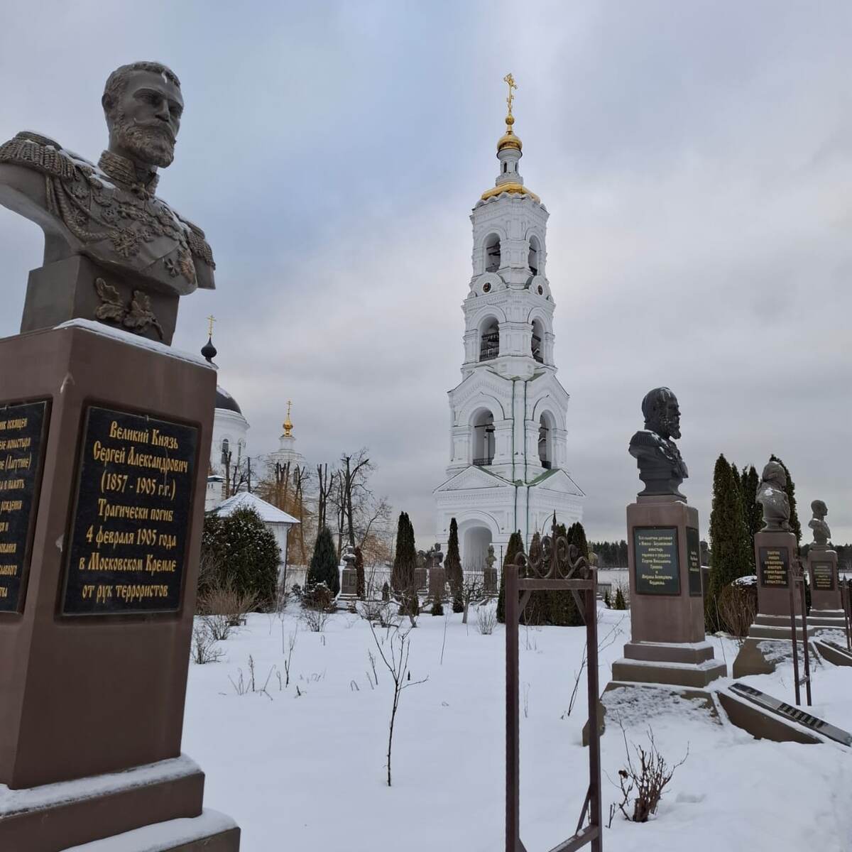 Фрагмент Аллеи Романовых (Николо-Берлюковская пустынь). Январь 2025 года