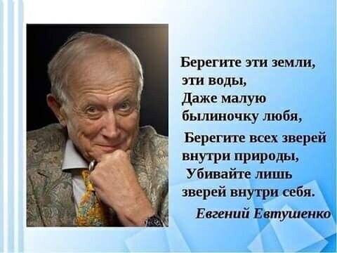 Фото из свободного доступа