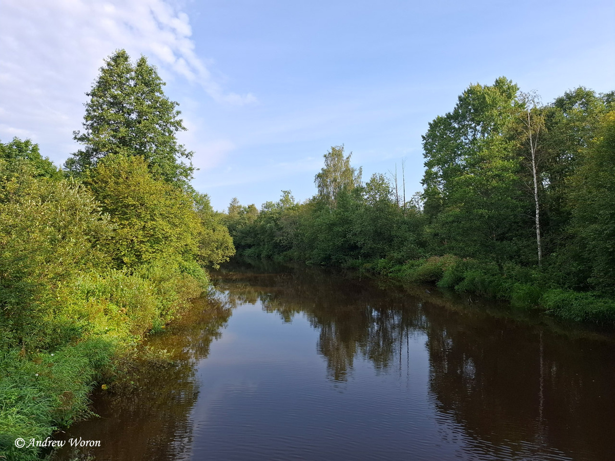 Река Сестра