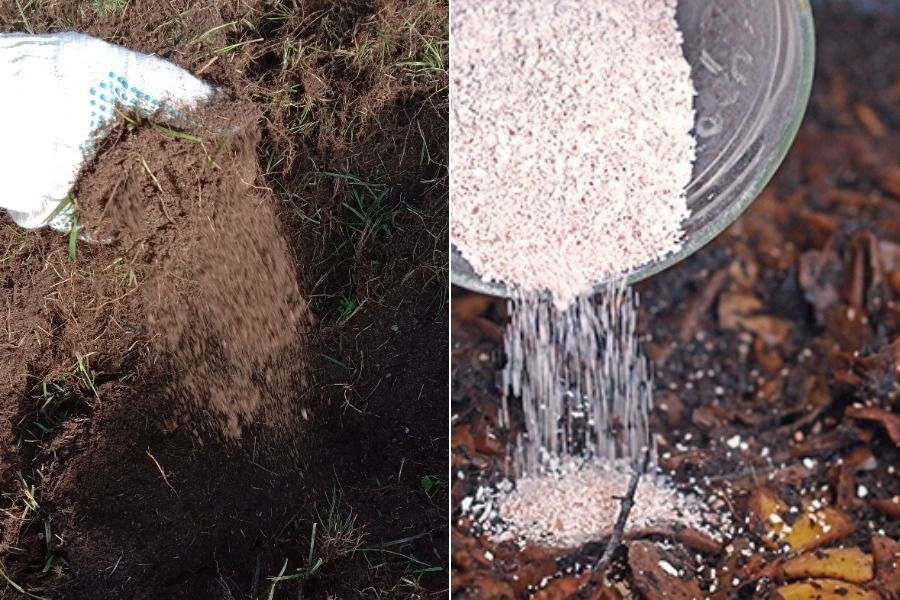 Очистите грядку после уборки урожая лука от сорной травы, добавьте нужные препараты и удобрения.