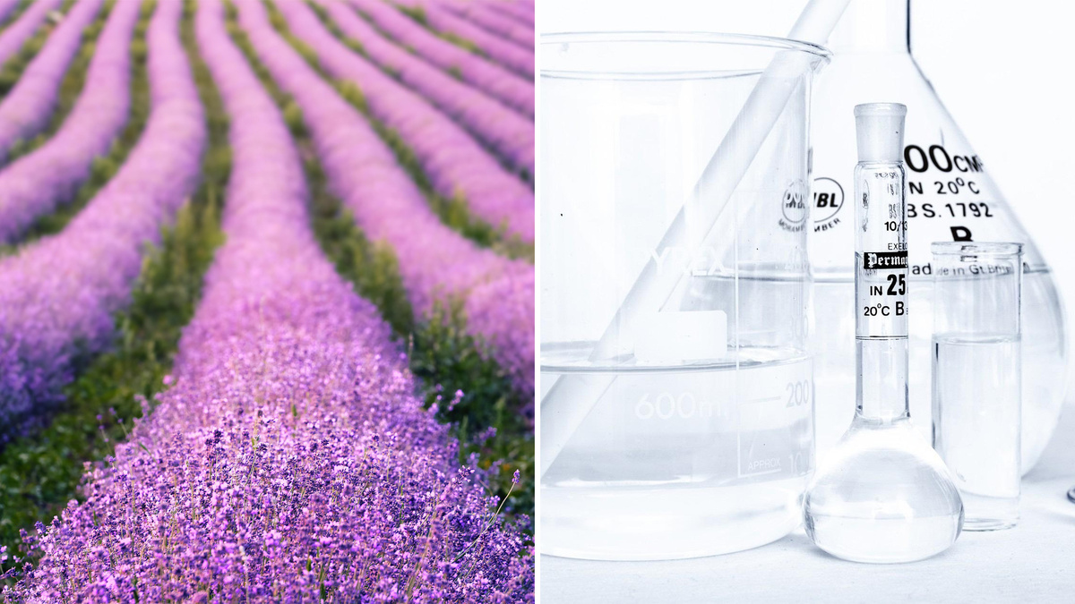 Производственные процессы: от природы к лаборатории