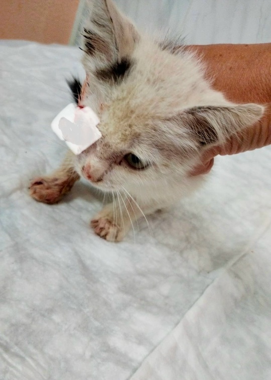 Таким Женю нашли