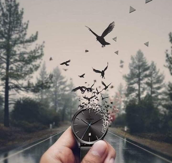 Фото взято из открытых источников 