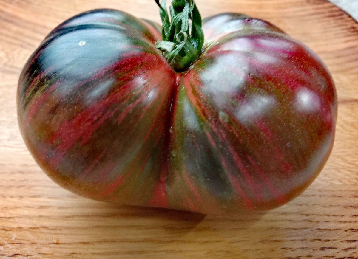 Фото автора от 12.08.2025г. Вид плода со стороны плодоножки.