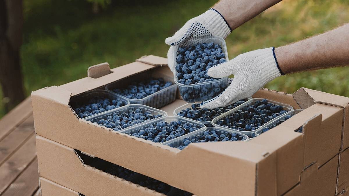    Фото: Shutterstock