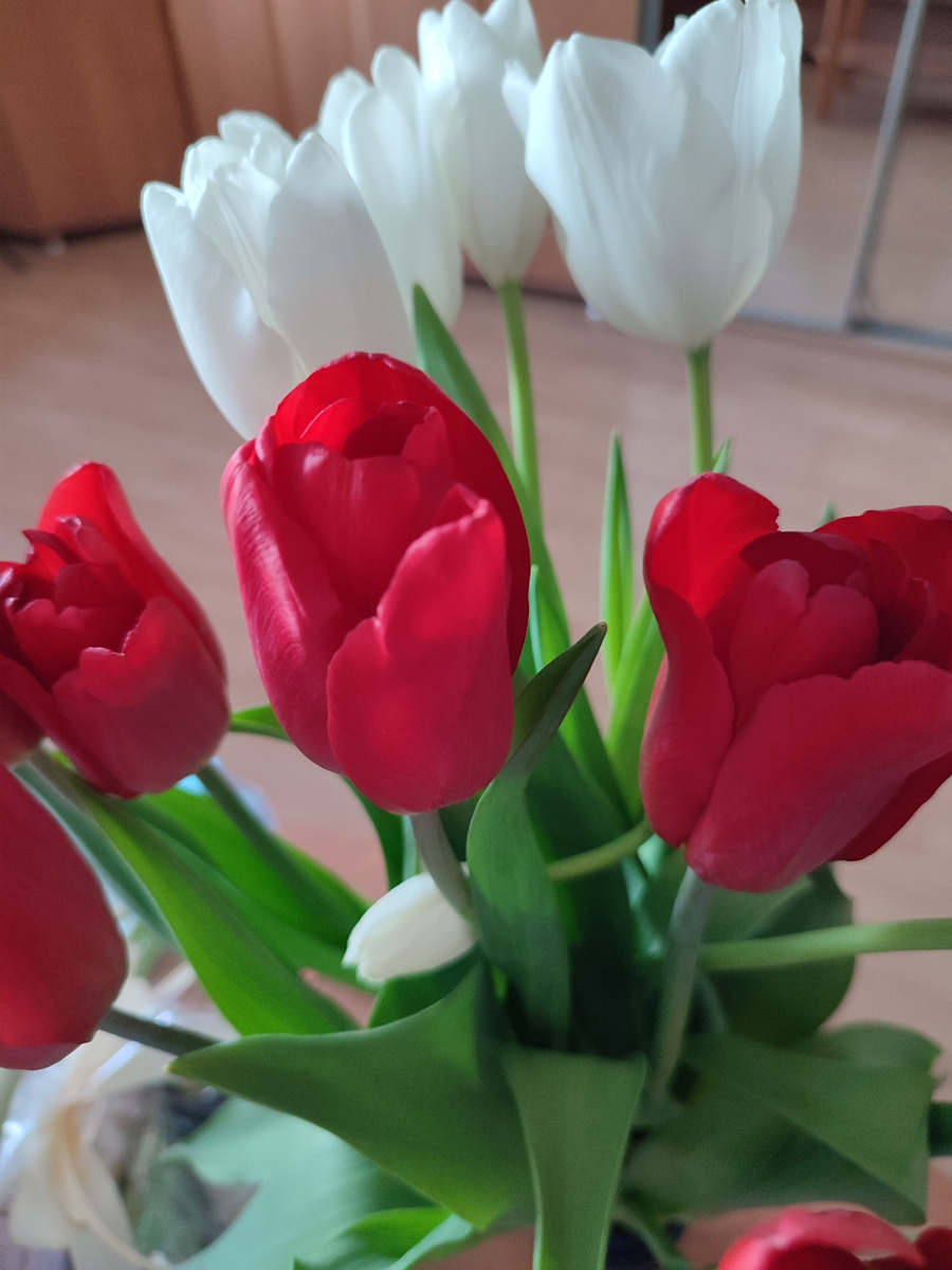 Из моих цветочных фото-архивов