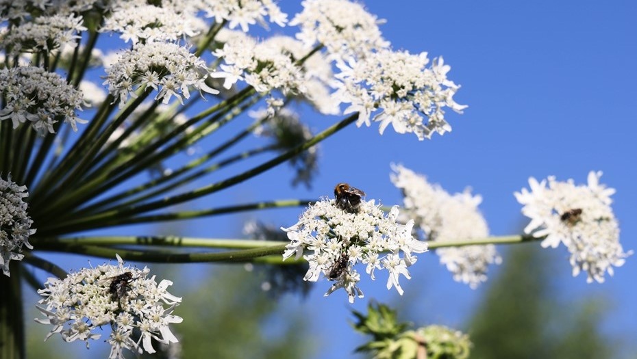    Автор фото: Владимир Гердо/ТАСС