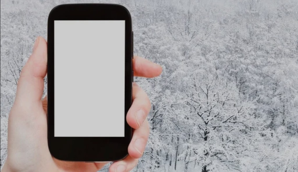 Фото из интернета 