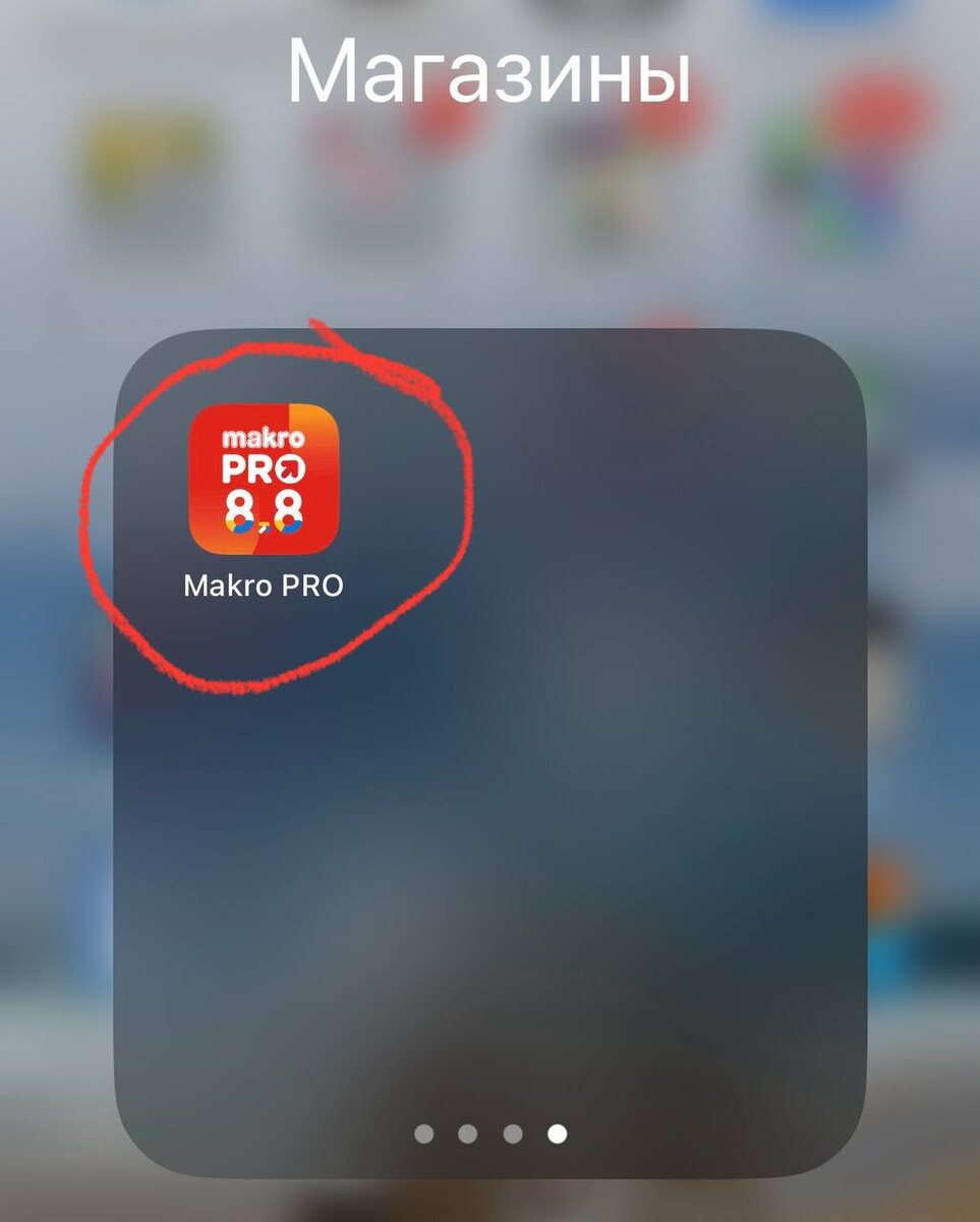 Приложение Makro PRO