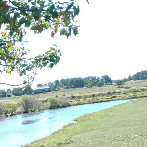 Около  Степного Дворца.