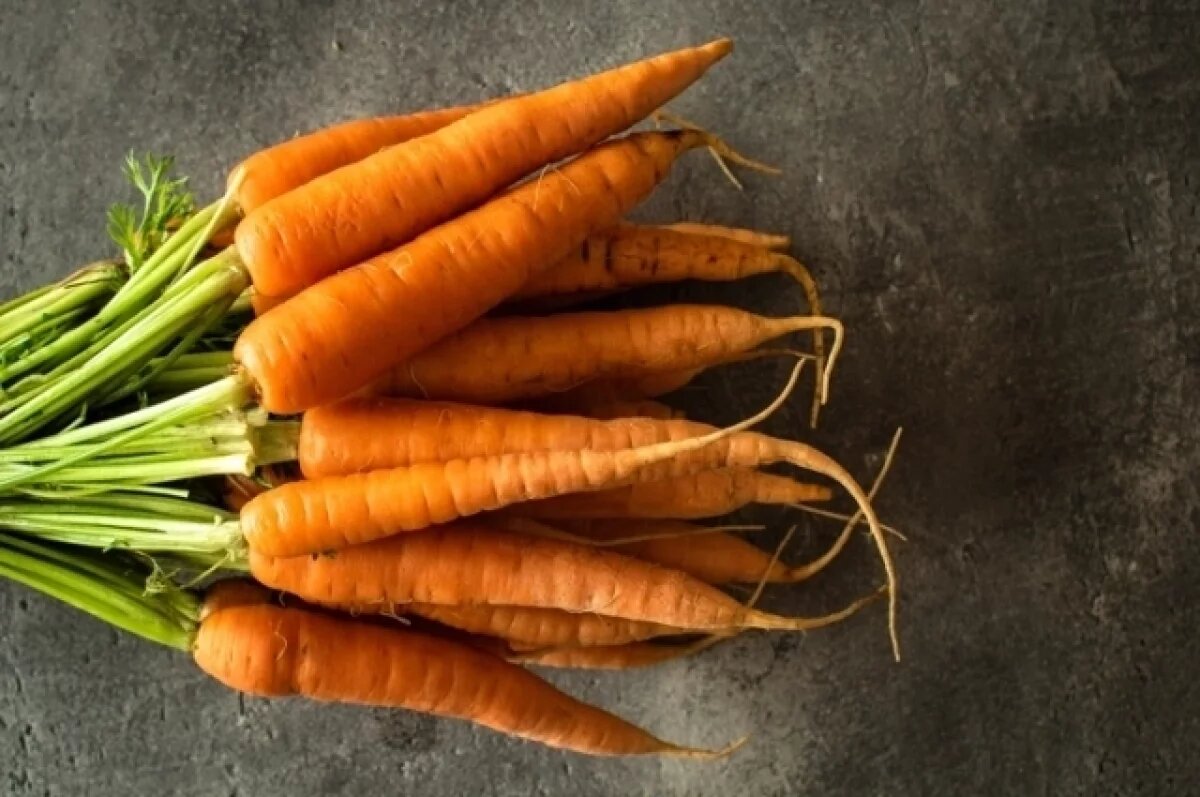    Садовод Самойлова рассказала, когда собирать и как хранить морковь для зимы
