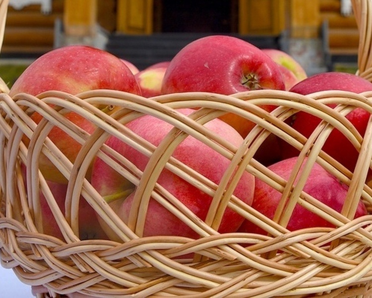     В усадьбе Фета под Курском состоится народный праздник «Три Великих Спаса»