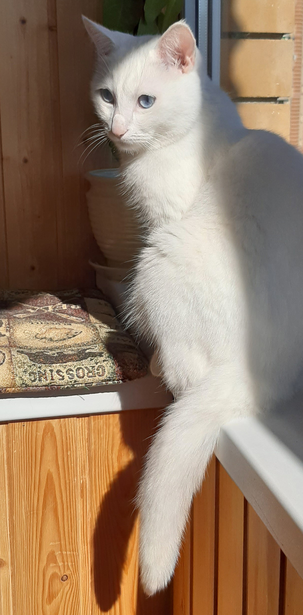 Мелкий навестил Мию с утра пораньше)