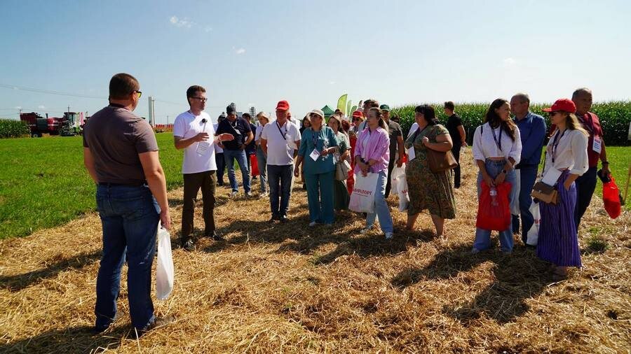    В рамках Дня поля «Мираторг» анонсировал выход четырех высокоурожайных гибридов кукурузы универсального назначения