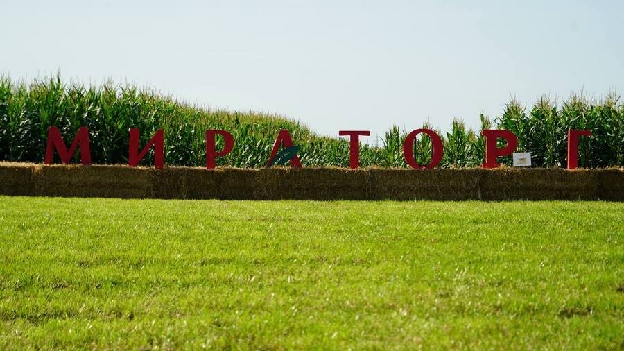    «Мираторг» делает ставку на развитие отечественного семеноводства — и уже к 2030 году планирует расширить линейку собственных гибридов кукурузы до 20 наименований