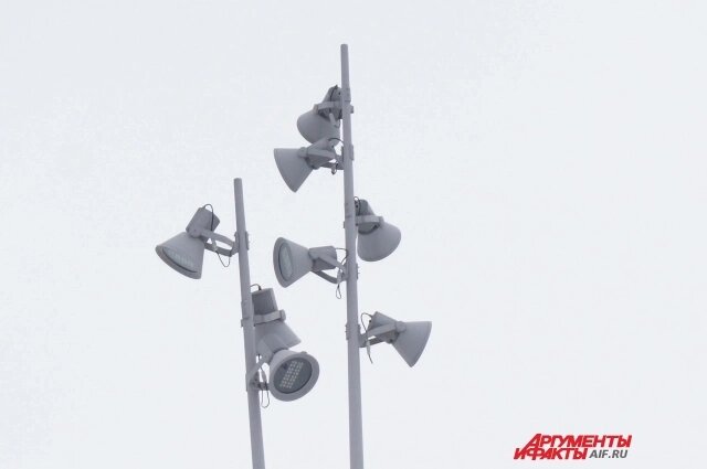    Фото: АиФ/ Александр Тепикин